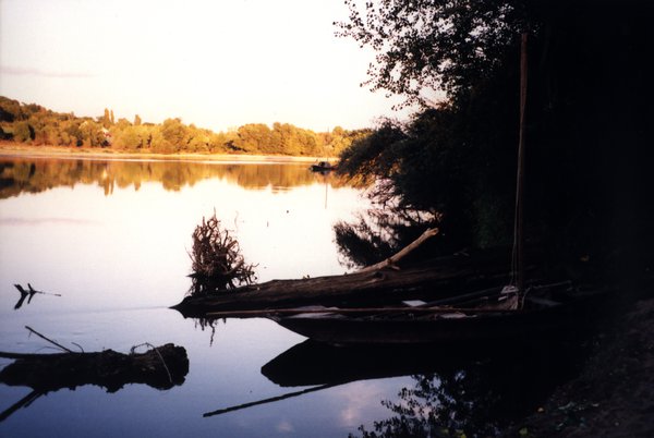 Étendue d’eau et végétation au crépuscule.