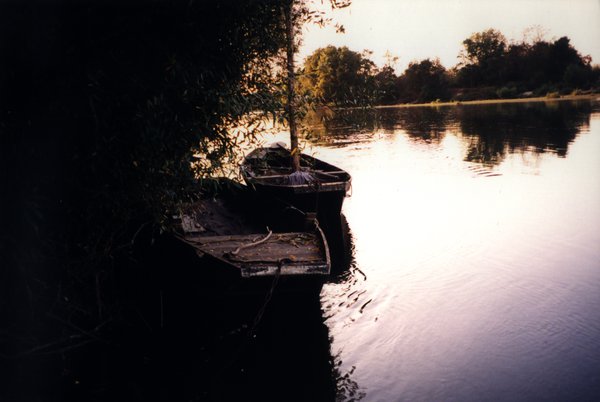 Deux barques avec et sans mat sur une étendue d’eau bordée de végétations.