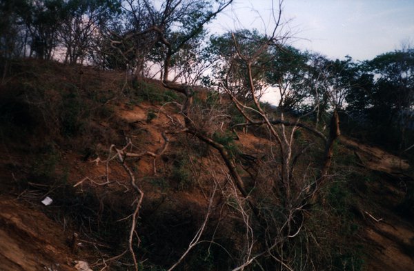 Colline avec végétations sèches.