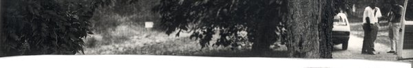 Hommes debout en conversation sur une route de campagne avec voitures à l’arrêt et une portière ouverte, arbres en avant-plan. Image panoramique ?