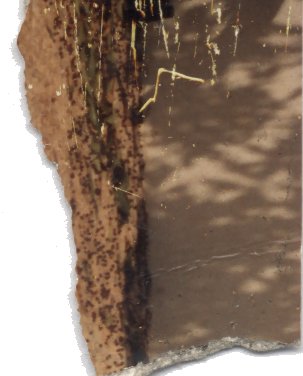 Fragment.