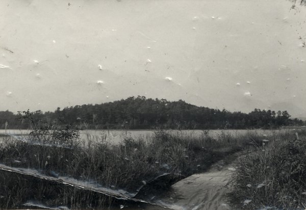 Paysage. Image abîmée. Noir et blanc.