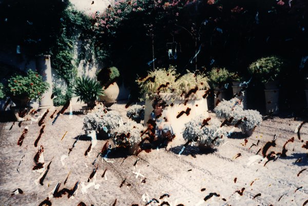Cour intérieure avec plantes en pots. Image très abîmée.ᴬᴵ