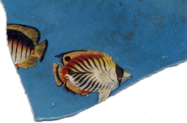 Poissons. Fragment.