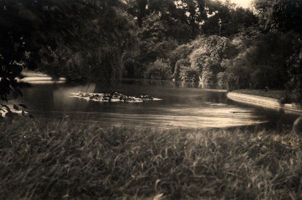 Étang entouré d'arbres dans un parc. Noir et blanc.ᴬᴵ
