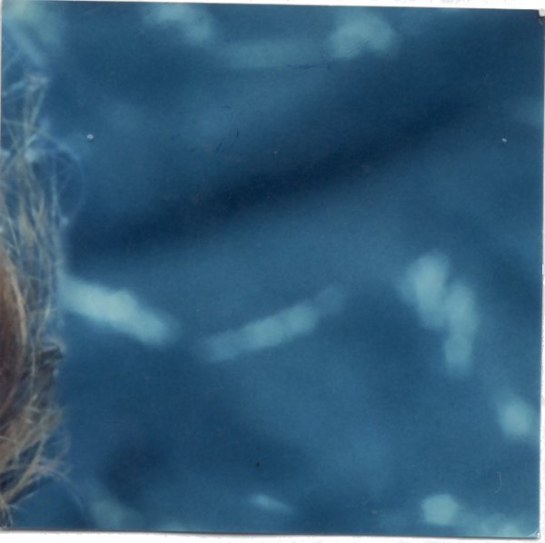 Gros plan sur des cheveux blonds devant de l'eau bleue. Fragment très abîmé.ᴬᴵ