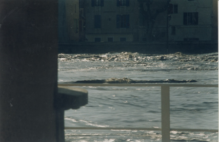Balustrade et fleuve.