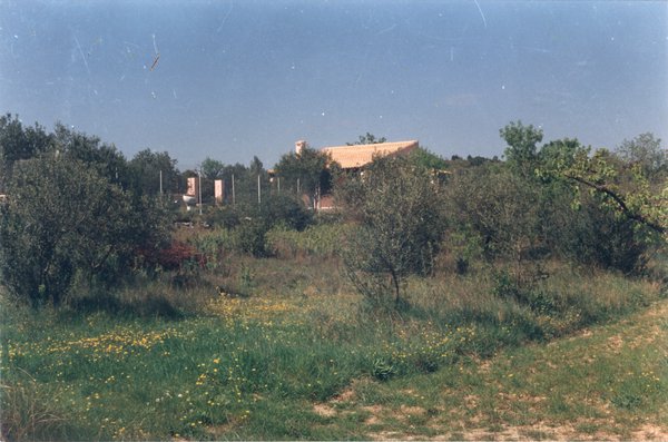 Jardin boisé et maison provençale en arrière-plan.