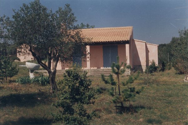 Un olivier et maison provençale en arrière-plan.