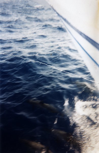 Hull of boat on the sea. Torn image, reconstructed.
