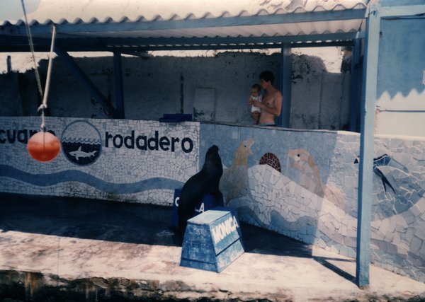 Homme et enfant derrière un muret recouvert de carrelage à l’enseigne : « Acuario Rodadero » et une otarie.