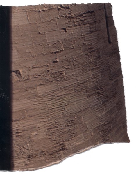 Pan de mur. Fragment.