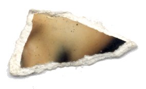 Fragment.