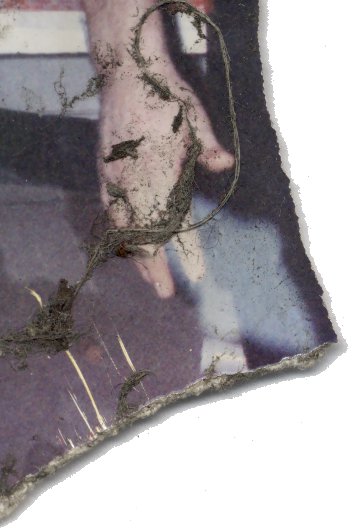 Une main. Fragment.