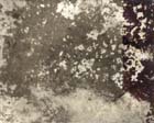 Unidentified view.