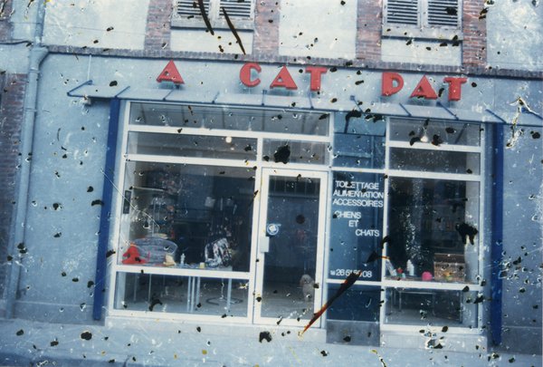 Devanture du magasin : « Cat pat ».
