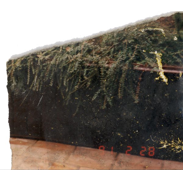 Rebord et végétations. Image avec date et heure, fragment.