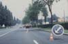 Route, arbres et panneaux de signalisation.