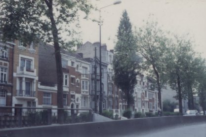 Rue, arbres, et maisons. Noir et blanc.