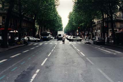 Chaussée dans Paris bordée par des arbres.