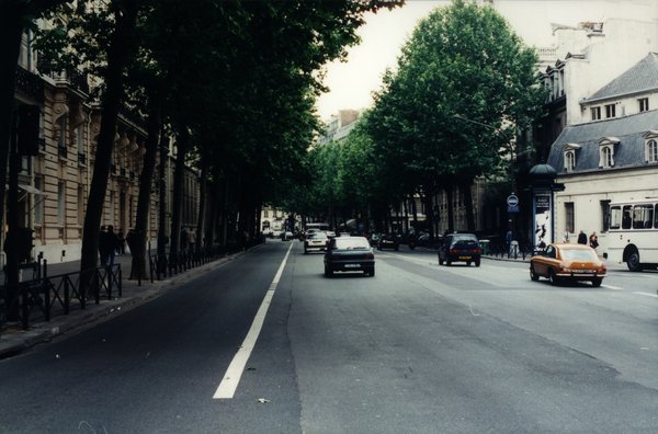 Boulevard bordé par des arbres dans Paris.