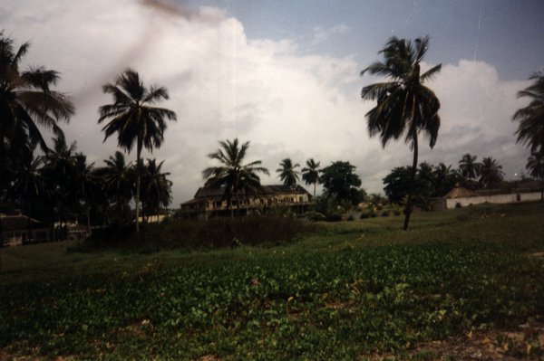 Paysage tropical avec palmiers et bâtiments.ᴬᴵ