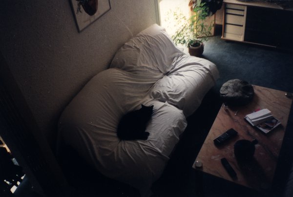 Chat noir endormi sur un canapé blanc.ᴬᴵ