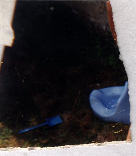 Seau et pelle de plage en plastique bleu dans l'herbe. Fragment déchiré.ᴬᴵ