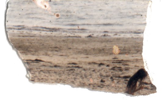 Plage de sable et mer. Fragment.