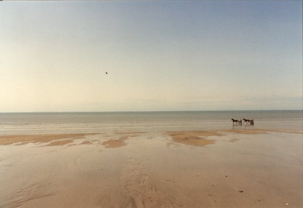 La mer à marée basse.