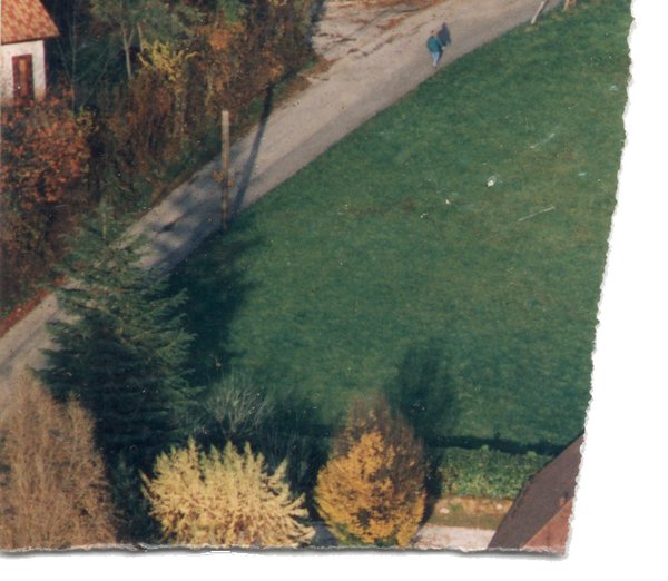 Paysage et végétations. Fragment.