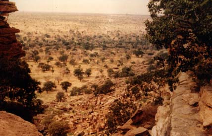 Falaises et végétations africaines.