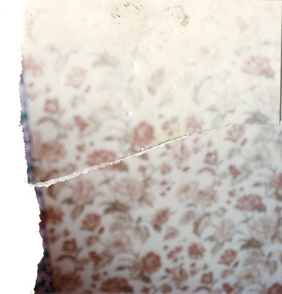 Papier à fleurs. Image déchirée en partie reconstituée.